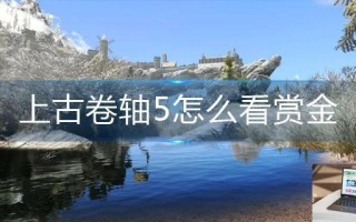 上古卷轴5怎么看赏金