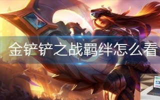 金铲铲之战羁绊怎么看