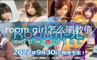 room girl怎么刷数值