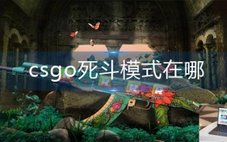 csgo死斗模式在哪