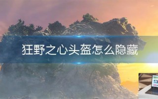 狂野之心头盔怎么隐藏