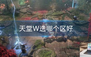 天堂W选哪个区好