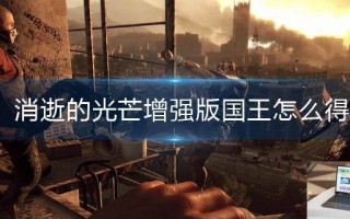 消逝的光芒增强版国王怎么得