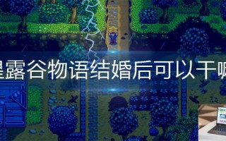 星露谷物语结婚后可以干嘛