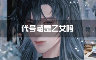 代号鸢是乙女吗