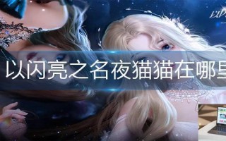 以闪亮之名夜猫猫在哪里 以闪亮之名夜猫猫在哪里