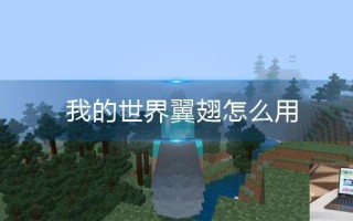 我的世界翼翅怎么用