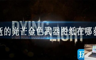 消逝的光芒金色武器图纸在哪获得