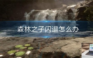 森林之子闪退怎么办