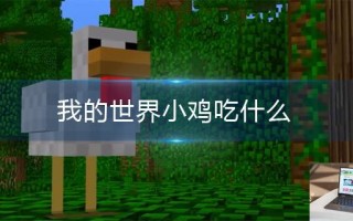 我的世界小鸡吃什么,我的世界小鸡吃食物介绍