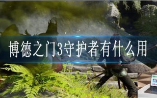 博德之门3守护者有什么用