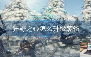 狂野之心怎么升级装备 狂野之心怎么升级装备