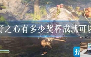 狂野之心有多少奖杯成就可以领