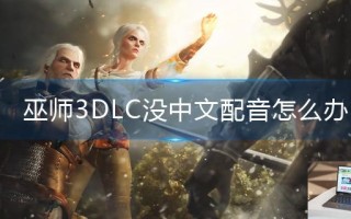 巫师3DLC没中文配音怎么办