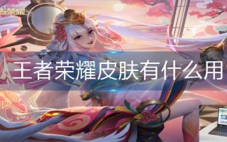 王者荣耀皮肤有什么用