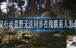 幽灵行动荒野无法同步在线联系人怎么办