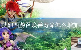梦幻西游召唤兽寿命怎么增加