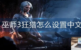 巫师3狂猎怎么设置中文