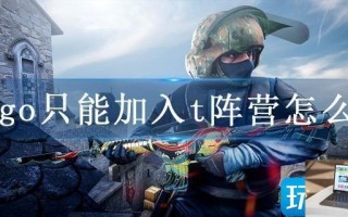 csgo只能加入t阵营怎么改