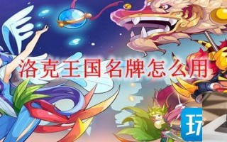 洛克王国名牌怎么使用