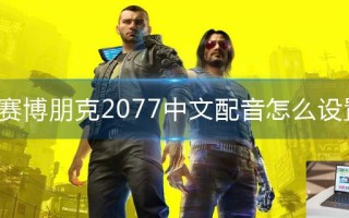 赛博朋克2077中文配音怎么设置