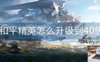 和平精英怎么升级到40级