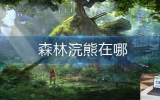 森林浣熊在哪
