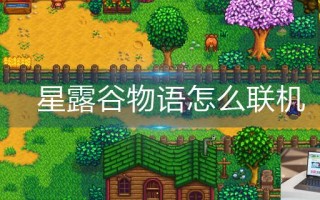星露谷物语怎么联机