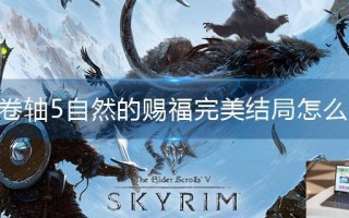 上古卷轴5自然的赐福完美结局怎么达成