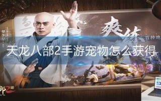 天龙八部2手游宠物怎么获得