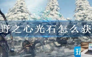 狂野之心光石怎么获得