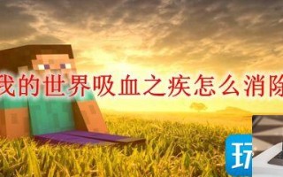 我的世界吸血之疾如何消除