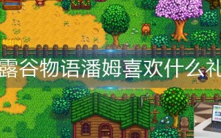 星露谷物语潘姆喜欢什么礼物