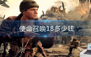 使命召唤18多少钱