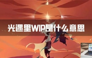 光遇里WIP是什么意思