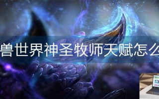 魔兽世界神圣牧师天赋怎么点