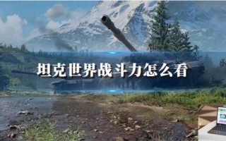 坦克世界战斗力怎么看