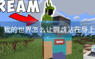 我的世界怎么让鹦鹉站在身上