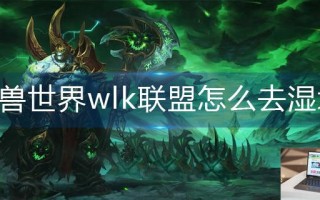 魔兽世界wlk联盟怎么去湿地