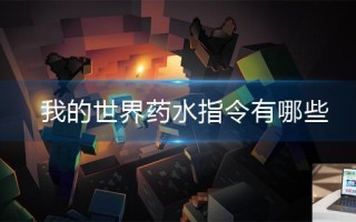 我的世界药水指令有哪些
