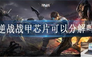 逆战战甲芯片可以分解吗
