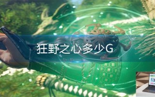 狂野之心多少G