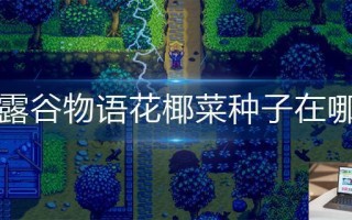 星露谷物语花椰菜种子在哪买