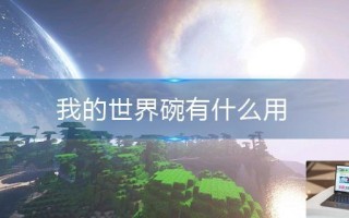 我的世界碗有什么用