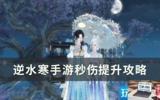 逆水寒手游秒伤如何提升