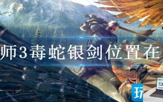 巫师3毒蛇银剑位置在哪