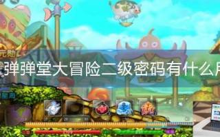 弹弹堂大冒险二级密码有什么用