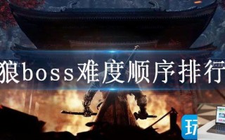 只狼boss难度顺序排行榜