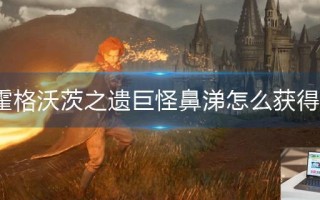 霍格沃茨之遗巨怪鼻涕怎么获得