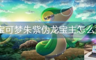 宝可梦朱紫伪龙宝主怎么找